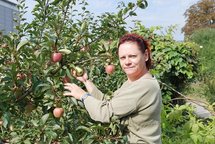 Die Gärtnerin bei der Apfelernte