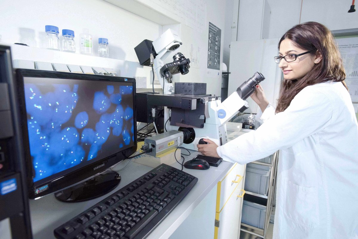 Die Studentin Vanasa Nageswaran untersucht am Inversen Fluoreszenzmikroskop in Kombination mit der VideoScan-Technologie Mutationen in einer Tumorzellline. 