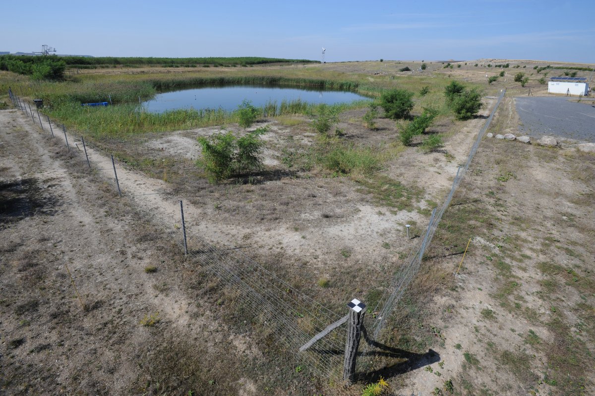 Blick über das künstliche Wassereinzugsgebiet Hühnerwasser im Tagebau Welzow Süd