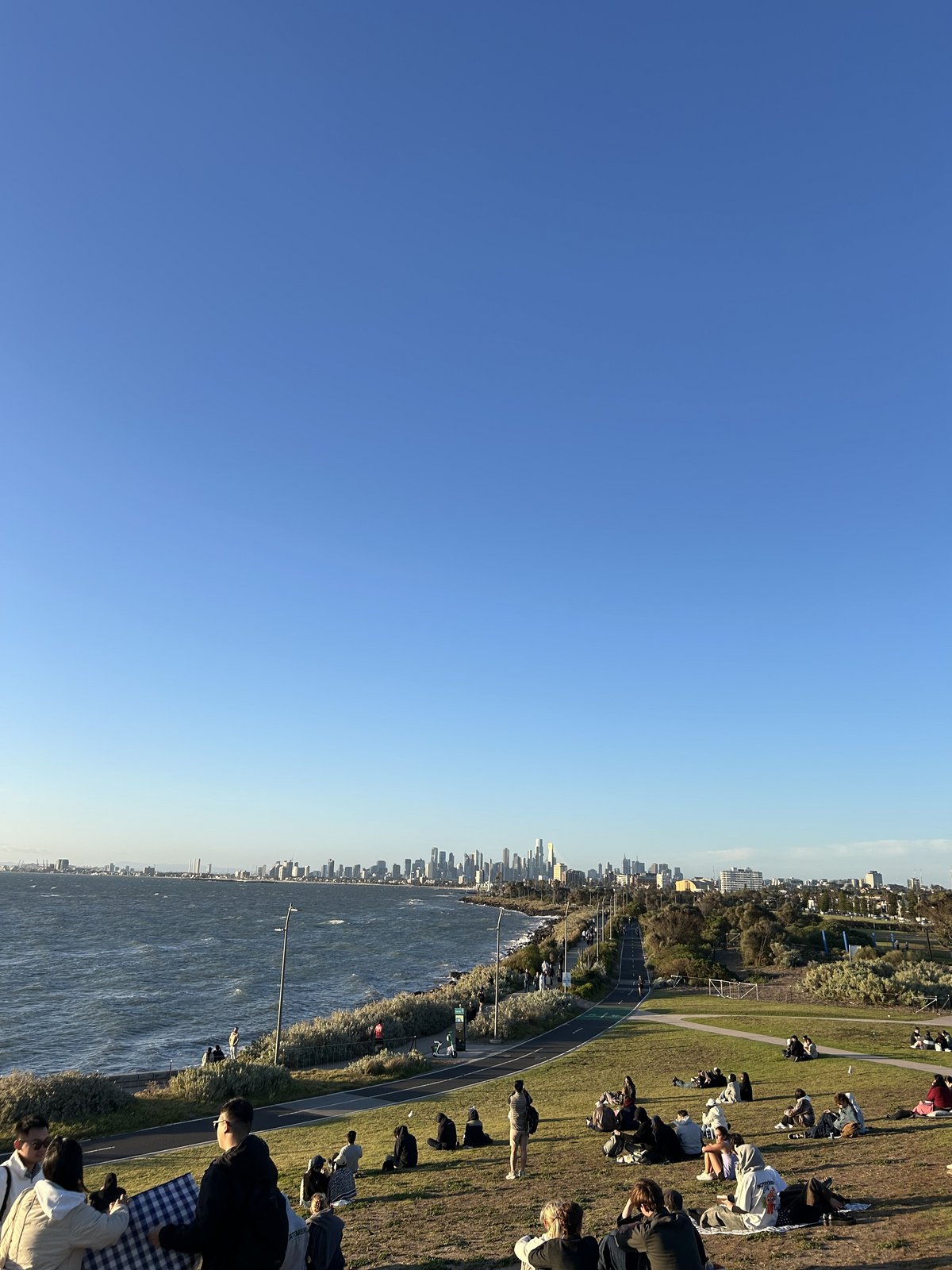 Der Blick auf Melbourne (Foto: privat)