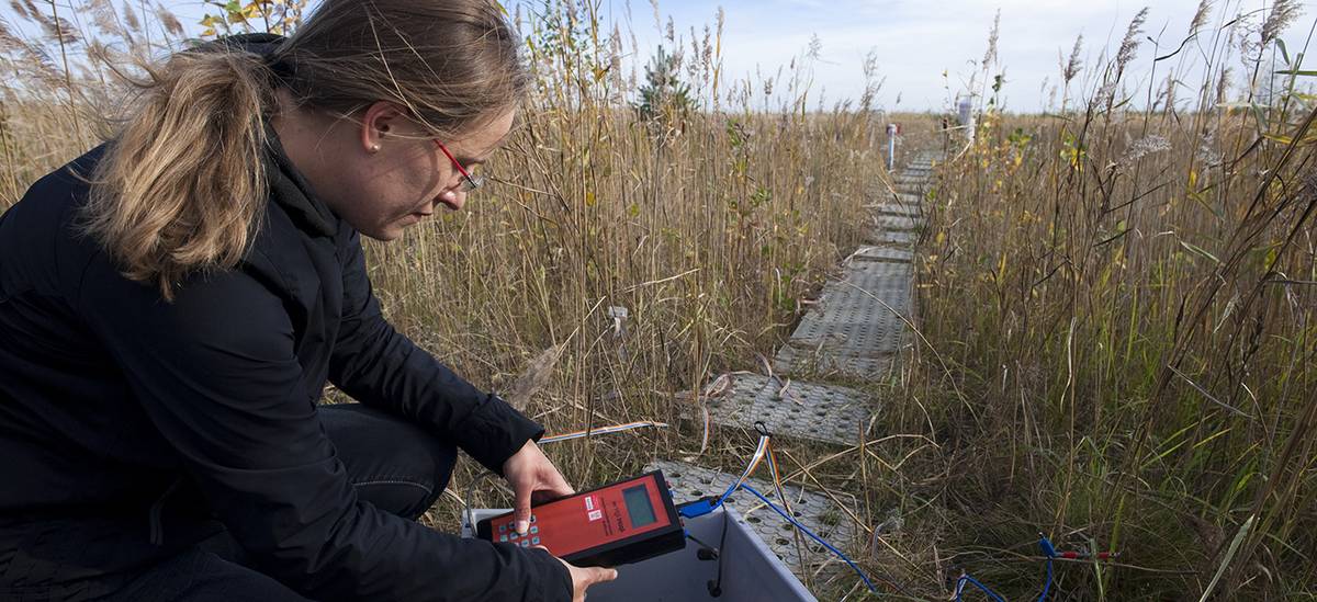 PhD Student of environmental and resource Management is doing some measurements at chicken creek