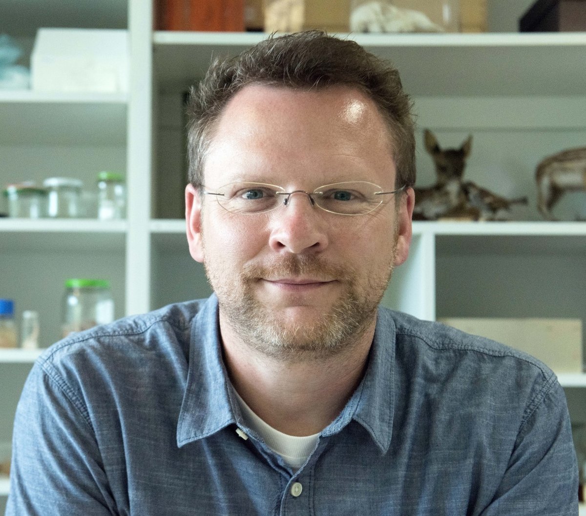 Porträtfoto von Pof. Dr. Klaus Birkhofer.