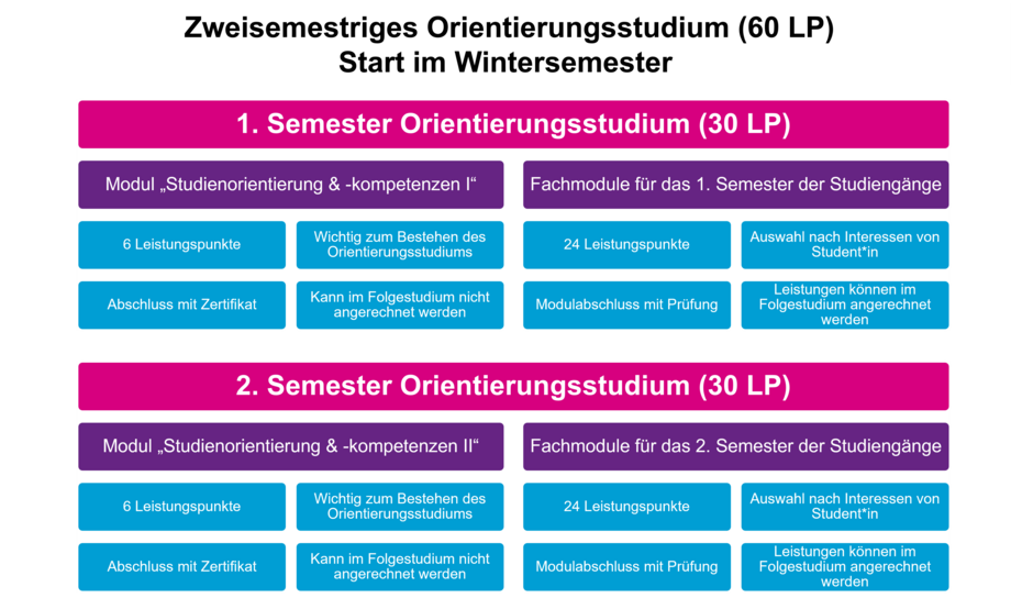 Infografik: Eigene Darstellung des Ablaufs des zweisemestrigen Orientierungsstudiums