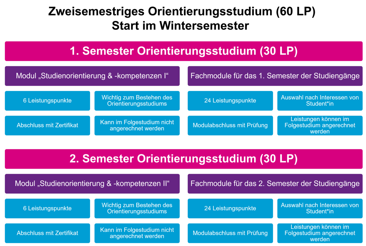 Infografik: Eigene Darstellung des Ablaufs des zweisemestrigen Orientierungsstudiums