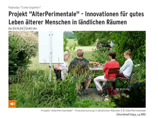 Screenshiot von website mit Bild zum Projekt