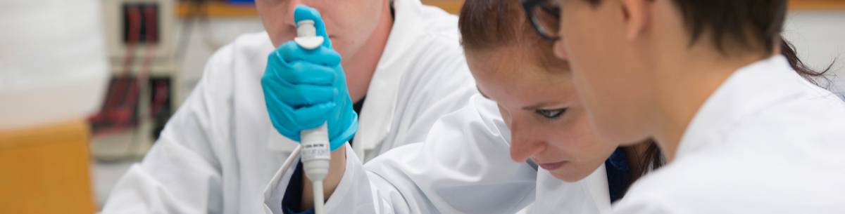 Studierende bei einem Experiment in einem Labor. Eine Studentin hält eine Pipette in der Hand.