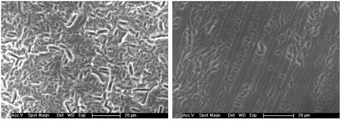 Abbildung 13: Rasterelektronenmikroskopische Aufnahmen von texturierten monokristallinen Wafern bei 1000facher Vergrößerung, Abträge zwischen 8 und 9 µm