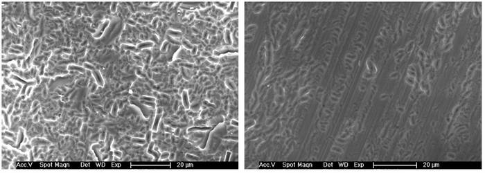 Abbildung 13: Rasterelektronenmikroskopische Aufnahmen von texturierten monokristallinen Wafern bei 1000facher Vergrößerung, Abträge zwischen 8 und 9 µm