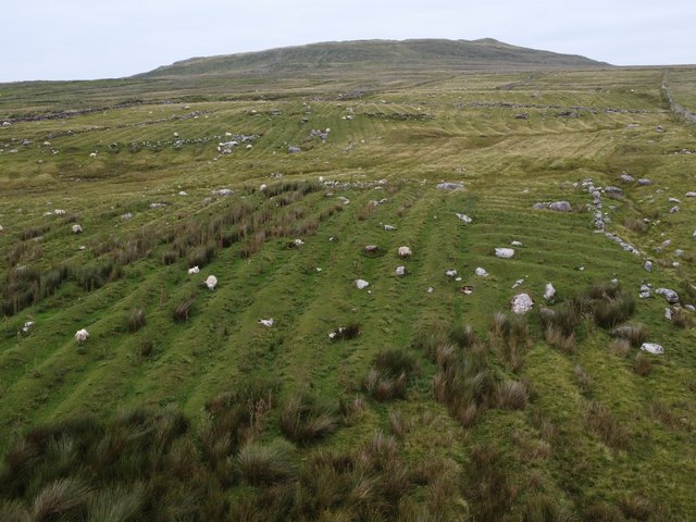 Landschaftsaufnahme von gewölbten Äckern von Wiesen bewachsen mit einzelnen Felsen in Nordwestirland