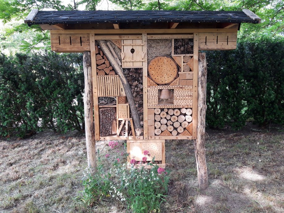 insect hotel on BTU campus