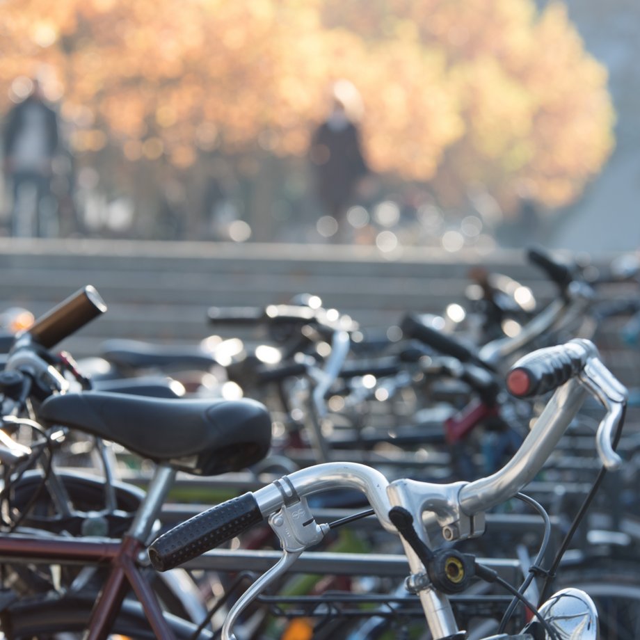 Fahrrähder auf dem BTU Campusgelände 