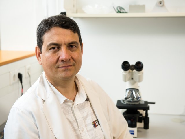 Dr. Simón Pérez-Martínez in einem Biotechnologielaboer der BTU neben einem Mikroskop. Foto: Ralf Schuster