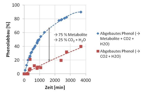 Abbildung 4: Abbau von 90 g Phenol mit Bilanzierung des Metabolitenanteils