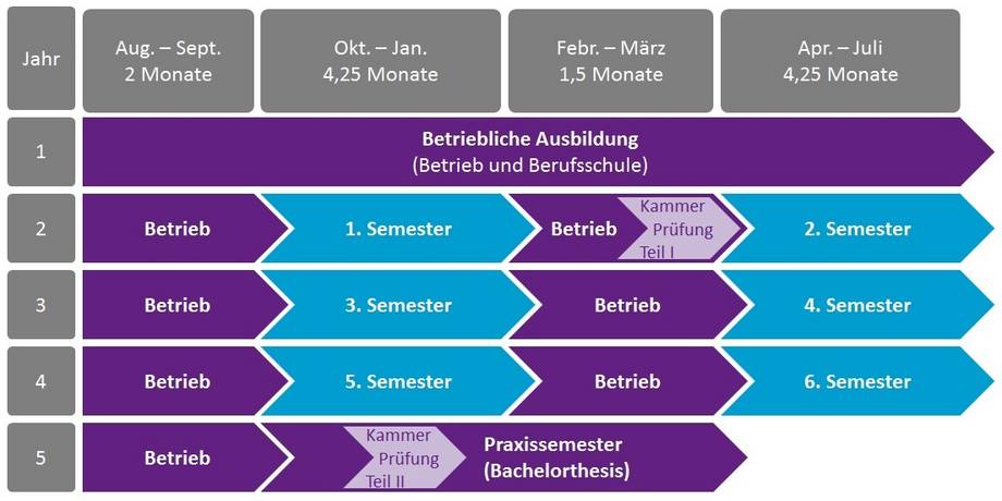 Studienablaufplan ausbildungsintegrierendes duales Studium