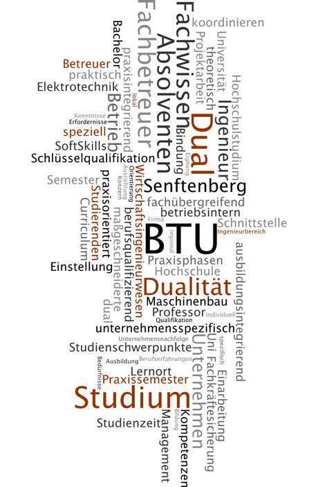 Wortwolke mit Begriffen zum dualen Studium