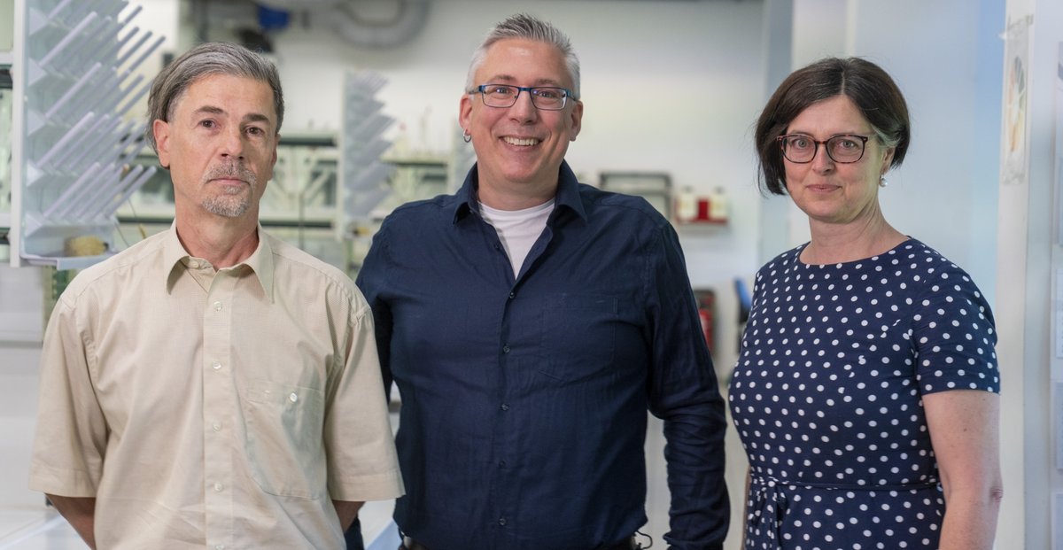 Das aktuelle Team des Fachgebietes Organische Chemie mit Schwerpunkt Polymere an der BTU.