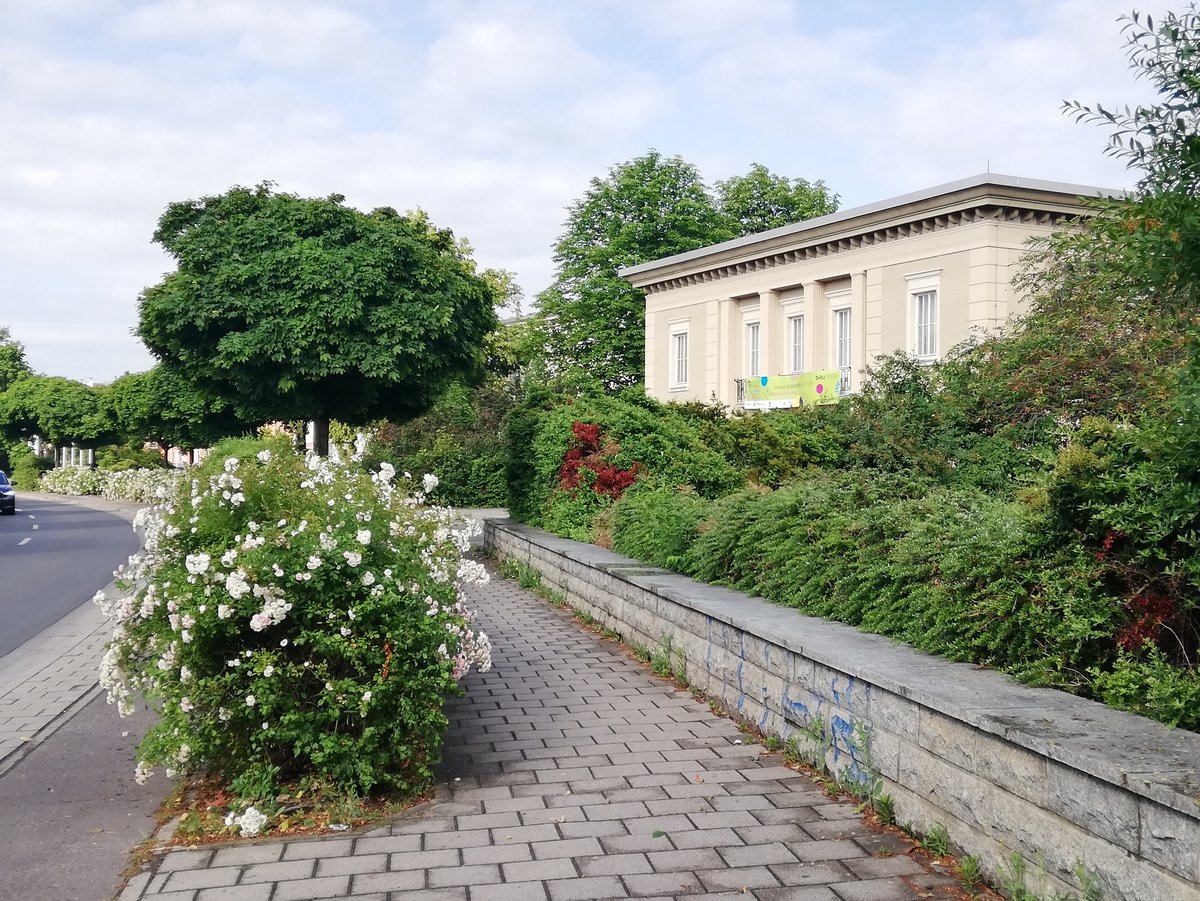 Das Foto zeigt den Campus in Senftenberg; Blumenwiese, Bibliotheksgebäude und Rosen am Straßenrand.