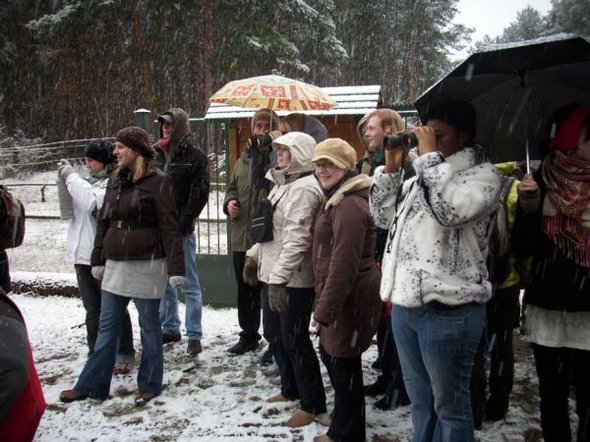 Wild animal reserve "Glauer Tal" - 1