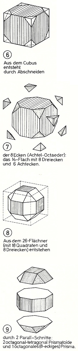 Quelle: MENGERINGHAUSEN 1975, S. 27, Max Mengeringhausen