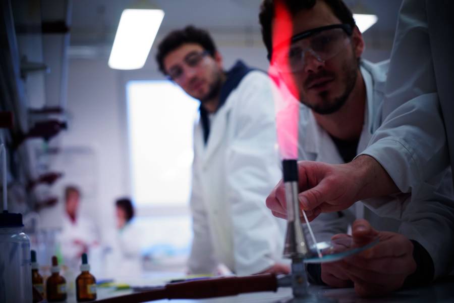 Students working in the laboratory