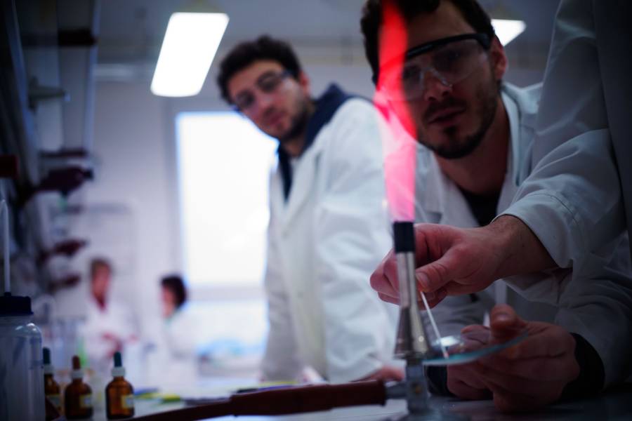 Students working in the laboratory Students working in the laboratory