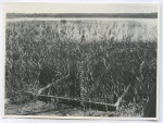 181127_scan+45: Detailansicht Bildvorschau