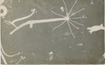 181128_scan+42: Detailansicht Bildvorschau