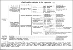 Casado-2009-3: Detailansicht Bildvorschau
