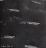 Fischer-1938-103: Details Image preview