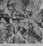 Fischer-1938-61: Details Image preview