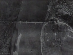 Fischer-1938-98: Details Image preview