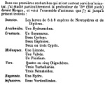 Forel-1869-221: Detailansicht Bildvorschau