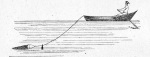 Forel-1901-168: Details Image preview