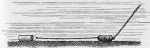 Forel-1901-173: Detailansicht Bildvorschau