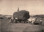 Forsteneichner-1915-5: Details Image preview