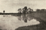 Fric+Vavra-1901-19: Details Image preview