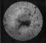 Goldschmidt-1916-2: Details Image preview