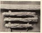 Gripekoven-1914-8: Details Image preview