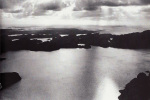 Hansen-1999-113-2: Details Image preview