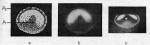 Homann-1924-4: Details Image preview