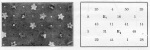 Kuehn+Ilse-1925-1: Details Image preview