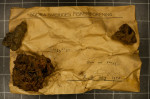 LND_9165: Details Image preview