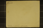 LND_9196: Detailansicht Bildvorschau