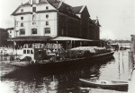 Labhart-1985-128-3: Details Image preview