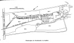 Lemmermann-1897-96: Details Image preview