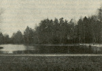 Lenz-1926-2: Details Image preview