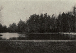 Lenz-1927-423: Details Image preview