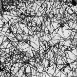 Lenz-1928-24: Details Image preview