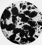 Lenz-1928-27: Details Image preview