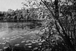Lenz-1928-38: Details Image preview